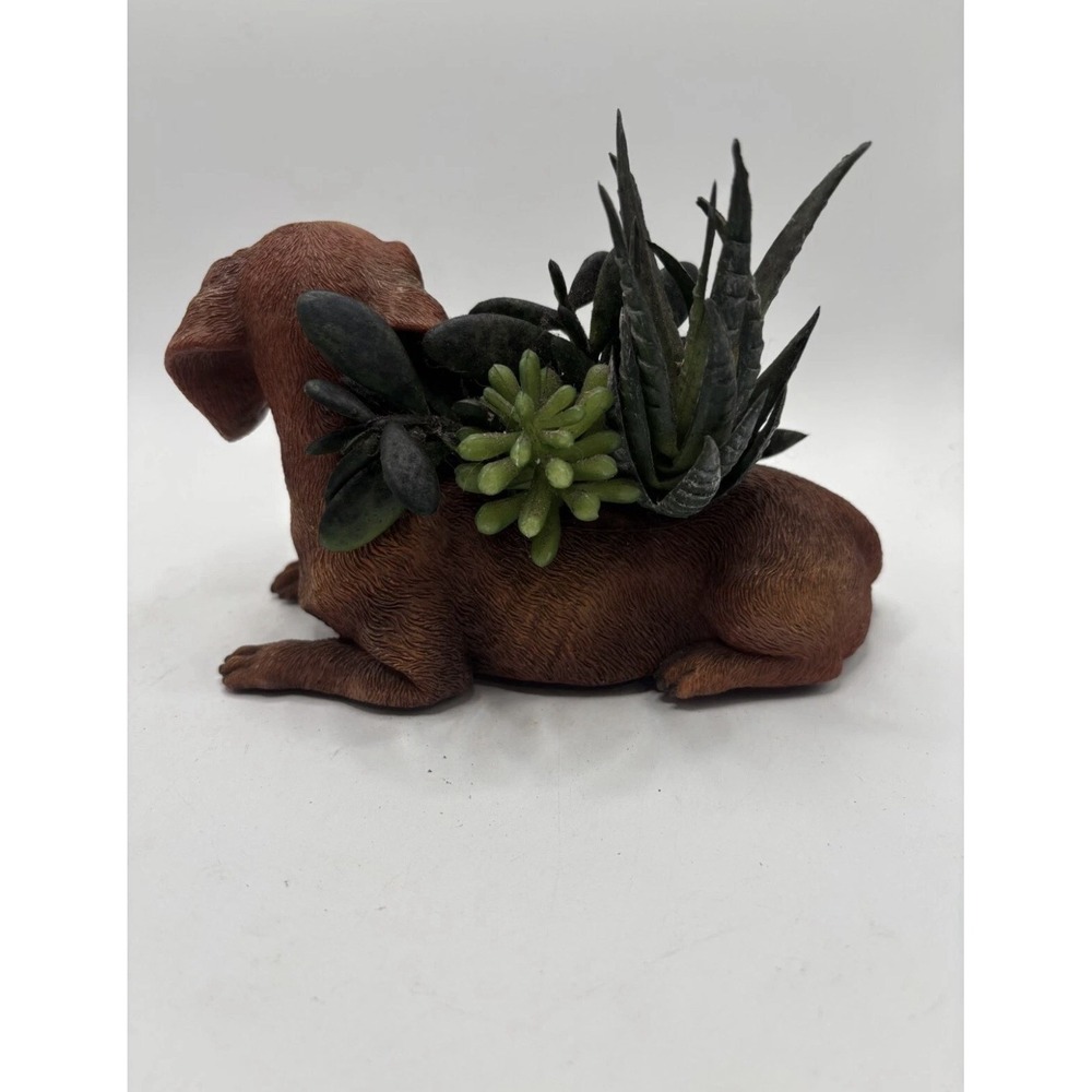 THE BRADFORD EXCHANGE  Dachshund Planter Succulents Numbered - Picture 3 of 6